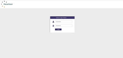 Hezelaer Business Intelligence